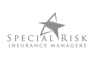 Special Risk Lakeview Insurance Icon