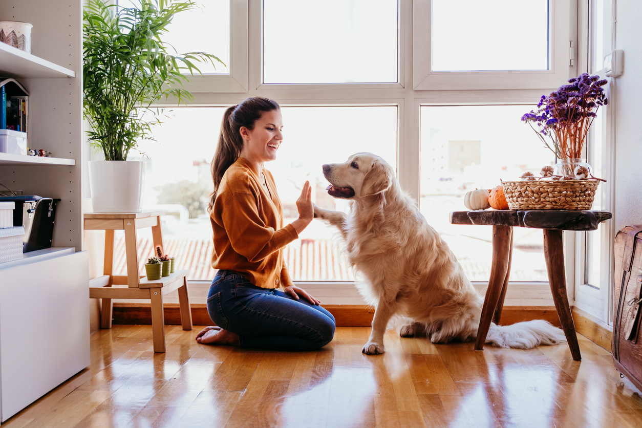 home insurance calgary